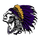 Pecatonica High School logo