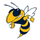 Ferndale Area High School logo