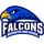Rochester High School logo