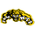 Coconut Creek High School logo