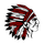 Wichita County High School logo