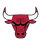 Chicago Bulls Academy logo