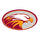 Christ's Church Academy High School logo