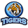 Carroll High School - Corpus Christi logo
