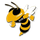Ider High School logo