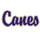 Cartersville High School logo