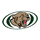 North Star High School logo
