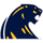 DeWitt High School logo