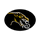 Cameron High School logo
