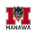 Little Wolf High School logo