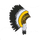 Crazy Horse School logo