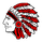 Nokomis High School logo