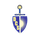 Decatur Christian High School logo