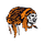 White Cloud High School logo