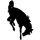 Jackson Hole High School logo
