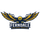 Ferndale High School logo