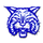 McNairy Central High School logo