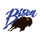 New Buffalo High School logo
