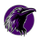 Ridgeview HS logo