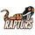 Ridge View High School logo