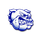Brandywine High School logo