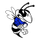 Bloomfield High School logo