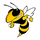 Calhoun High School logo