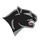 Chatham High School logo
