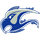 Catalina Foothills High School logo