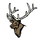 Salisbury Elk Lick High School logo