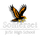 Somerset Area High School logo