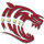 Dawson County High School logo