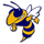 Pelham High School logo