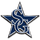 South Gwinnett High School logo