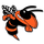 Declo High School logo