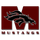 Monmouth Academy logo