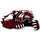 West Wendover High School logo