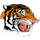 Saluda High School logo