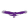 Stargate Charter School logo