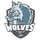 College View High School logo