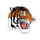 Strasburg-Franklin High School logo