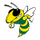 Windsor High School logo